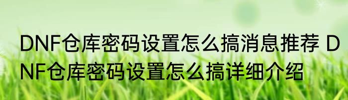 DNF仓库密码设置怎么搞消息推荐 DNF仓库密码设置怎么搞详细介绍