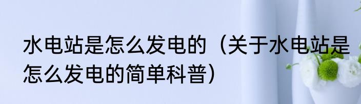 水电站是怎么发电的（关于水电站是怎么发电的简单科普）