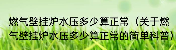 燃气壁挂炉水压多少算正常（关于燃气壁挂炉水压多少算正常的简单科普）