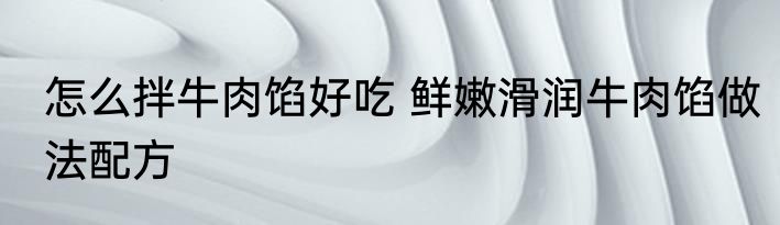 怎么拌牛肉馅好吃 鲜嫩滑润牛肉馅做法配方