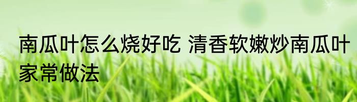 南瓜叶怎么烧好吃 清香软嫩炒南瓜叶家常做法