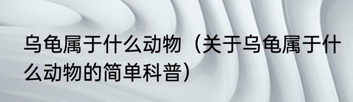 乌龟属于什么动物（关于乌龟属于什么动物的简单科普）