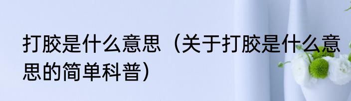 打胶是什么意思（关于打胶是什么意思的简单科普）