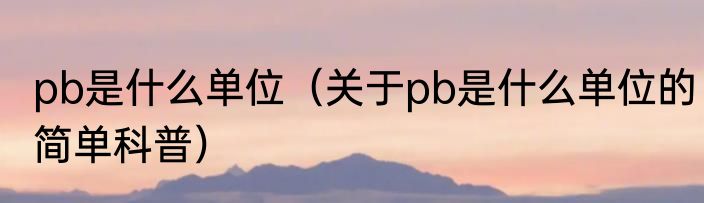 pb是什么单位（关于pb是什么单位的简单科普）