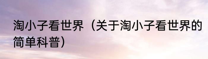 淘小子看世界（关于淘小子看世界的简单科普）