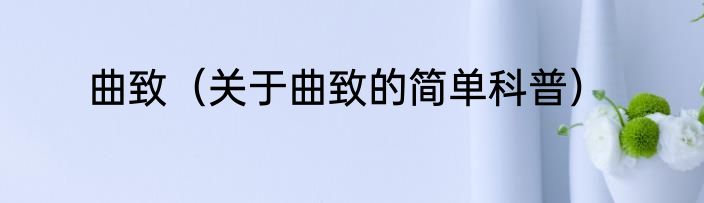 曲致（关于曲致的简单科普）