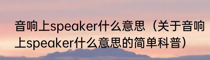 音响上speaker什么意思（关于音响上speaker什么意思的简单科普）
