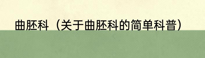 曲胚科（关于曲胚科的简单科普）