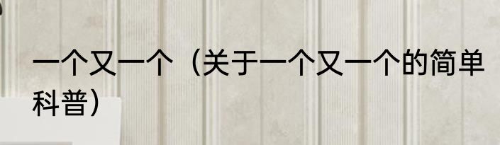 一个又一个（关于一个又一个的简单科普）