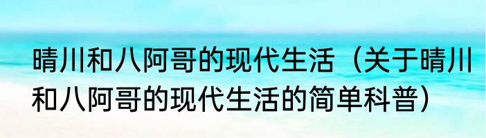 晴川和八阿哥的现代生活（关于晴川和八阿哥的现代生活的简单科普）