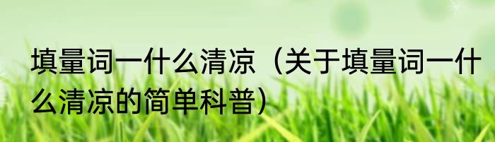 填量词一什么清凉（关于填量词一什么清凉的简单科普）
