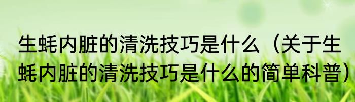 生蚝内脏的清洗技巧是什么（关于生蚝内脏的清洗技巧是什么的简单科普）