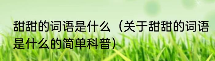 甜甜的词语是什么（关于甜甜的词语是什么的简单科普）