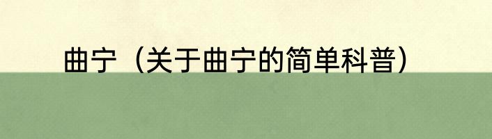 曲宁（关于曲宁的简单科普）
