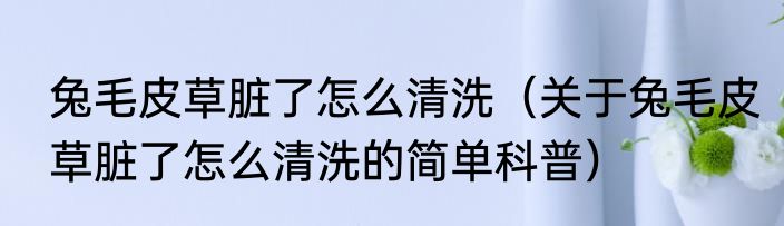 兔毛皮草脏了怎么清洗（关于兔毛皮草脏了怎么清洗的简单科普）