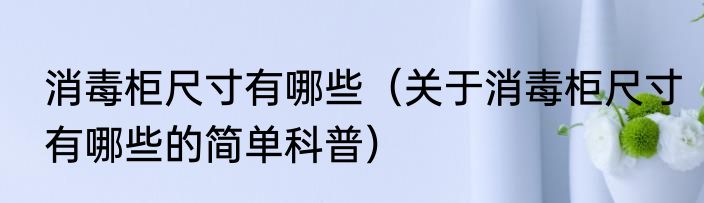 消毒柜尺寸有哪些（关于消毒柜尺寸有哪些的简单科普）