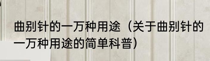 曲别针的一万种用途（关于曲别针的一万种用途的简单科普）