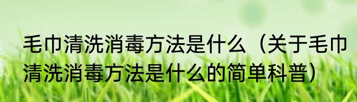 毛巾清洗消毒方法是什么（关于毛巾清洗消毒方法是什么的简单科普）