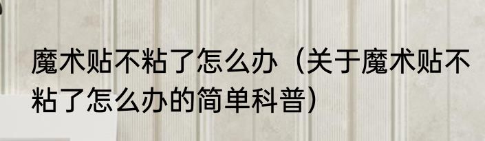 魔术贴不粘了怎么办（关于魔术贴不粘了怎么办的简单科普）