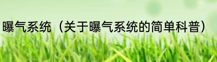 曝气系统（关于曝气系统的简单科普）