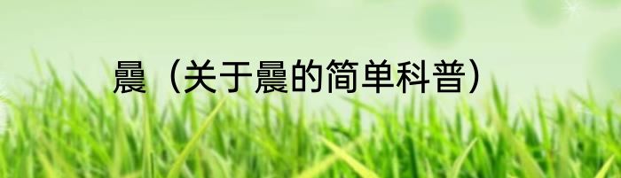 曟（关于曟的简单科普）