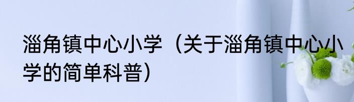 淄角镇中心小学（关于淄角镇中心小学的简单科普）