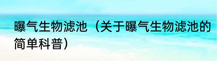 曝气生物滤池（关于曝气生物滤池的简单科普）
