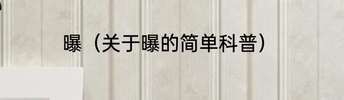 曝（关于曝的简单科普）
