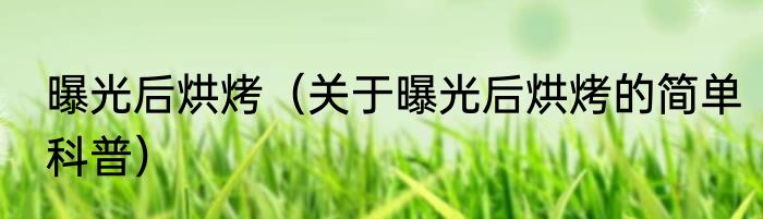 曝光后烘烤（关于曝光后烘烤的简单科普）