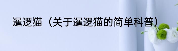 暹逻猫（关于暹逻猫的简单科普）
