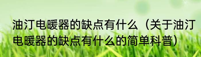 油汀电暖器的缺点有什么（关于油汀电暖器的缺点有什么的简单科普）