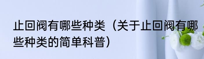止回阀有哪些种类（关于止回阀有哪些种类的简单科普）
