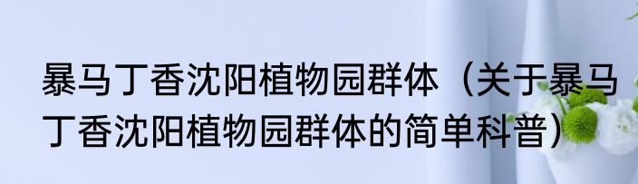 暴马丁香沈阳植物园群体（关于暴马丁香沈阳植物园群体的简单科普）