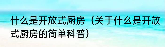 什么是开放式厨房（关于什么是开放式厨房的简单科普）