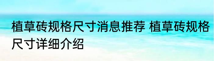 植草砖规格尺寸消息推荐 植草砖规格尺寸详细介绍