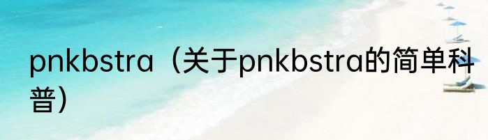 pnkbstra（关于pnkbstra的简单科普）