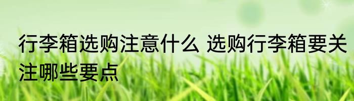 行李箱选购注意什么 选购行李箱要关注哪些要点