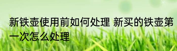 新铁壶使用前如何处理 新买的铁壶第一次怎么处理