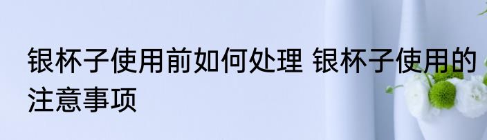 银杯子使用前如何处理 银杯子使用的注意事项