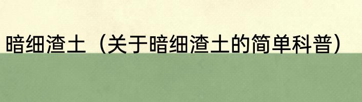 暗细渣土（关于暗细渣土的简单科普）