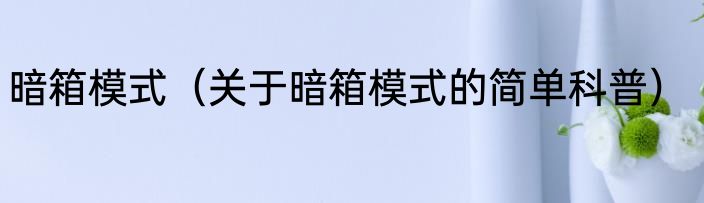 暗箱模式（关于暗箱模式的简单科普）