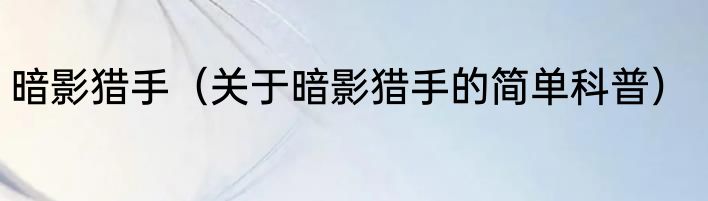 暗影猎手（关于暗影猎手的简单科普）