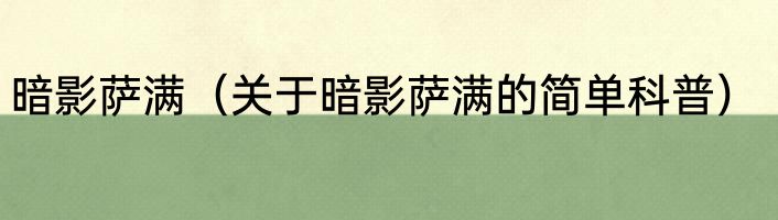 暗影萨满（关于暗影萨满的简单科普）