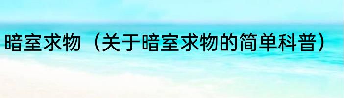 暗室求物（关于暗室求物的简单科普）