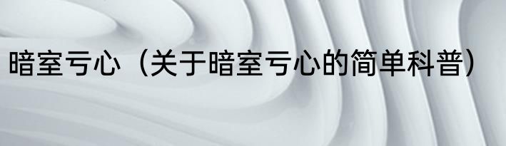 暗室亏心（关于暗室亏心的简单科普）