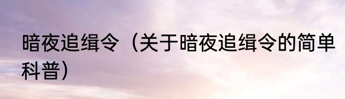 暗夜追缉令（关于暗夜追缉令的简单科普）