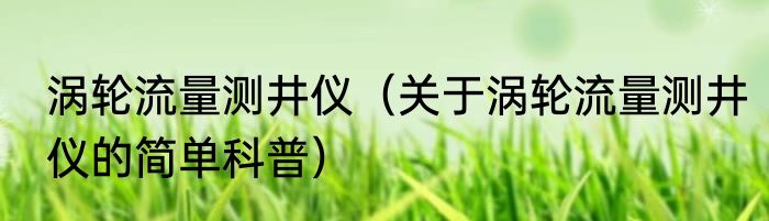 涡轮流量测井仪（关于涡轮流量测井仪的简单科普）