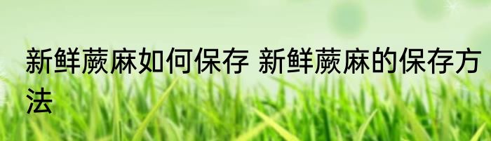 新鲜蕨麻如何保存 新鲜蕨麻的保存方法