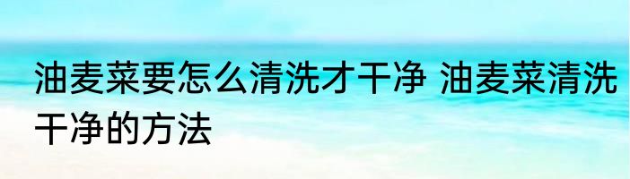 油麦菜要怎么清洗才干净 油麦菜清洗干净的方法