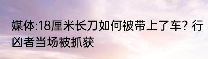 媒体:18厘米长刀如何被带上了车? 行凶者当场被抓获